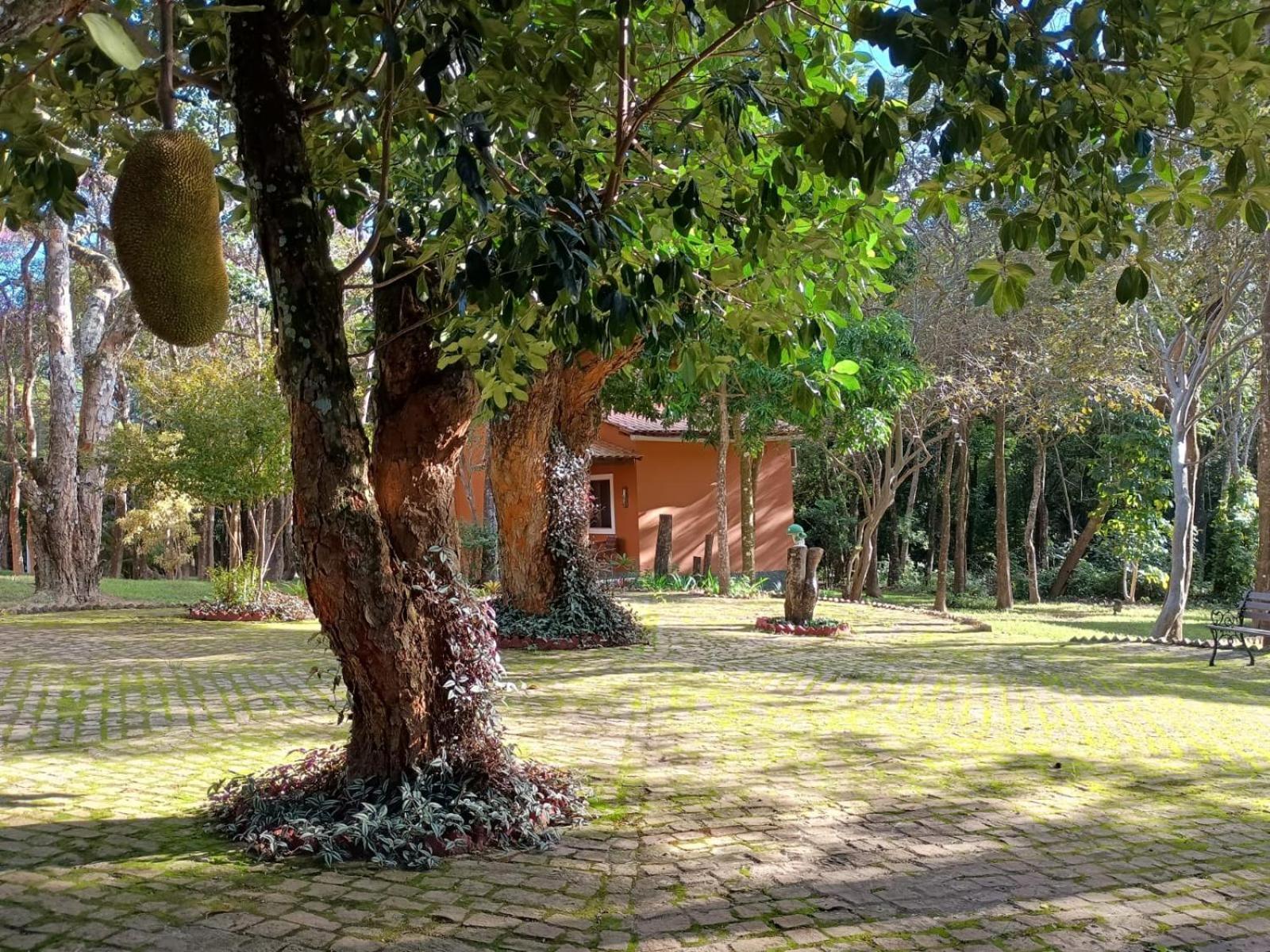 Villaflor * Vale do Capao